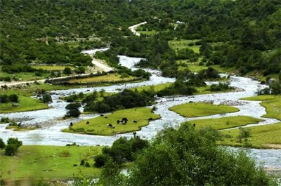 ​中国藏南地区有多重要？与四国相邻，被誉为“塞外江南”