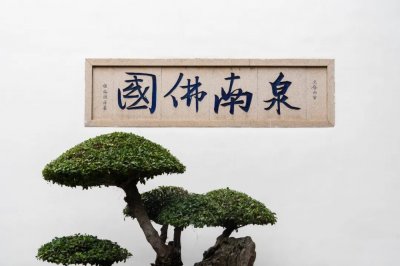 ​福建泉州承天寺：历尽波劫仍风流