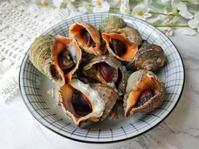 ​海螺，到底哪个部位不能吃？60岁老渔民告诉你答案，记得收藏