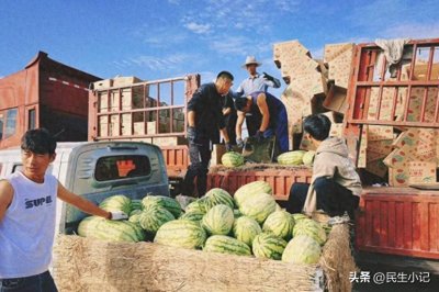 ​宁夏瓜农谈硒砂瓜争议：不存在滞销，3年来第1次盈利，引发热议
