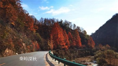 ​留坝——秦岭深处的秋