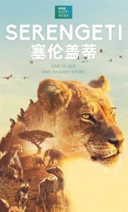 ​马岛缟狸：交配时间最长动物，却可能无法让雌性满意，会立即被甩