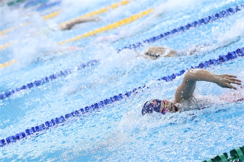 游泳——2019年全国青年锦标赛暨青运会预选赛在沈阳开赛