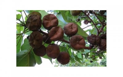 ​据说掌握了这几招 你的撩妹成功率会暴增