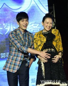 ​章子怡怀孕(章子怡怀孕电视剧)