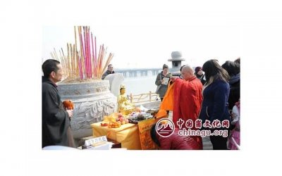 ​19朵粉玫瑰的花语（19朵粉玫瑰的花语寓意）