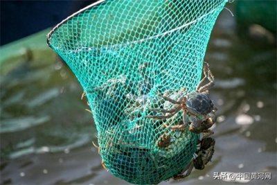 ​山西这些隐藏特产你知道几个