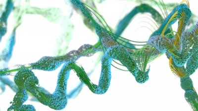 ​“生物活性肽”的那些江湖传说，究竟几分真假？