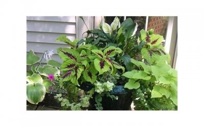 ​如果恋人频繁出现这几种表现，很大概率对方心中有别人