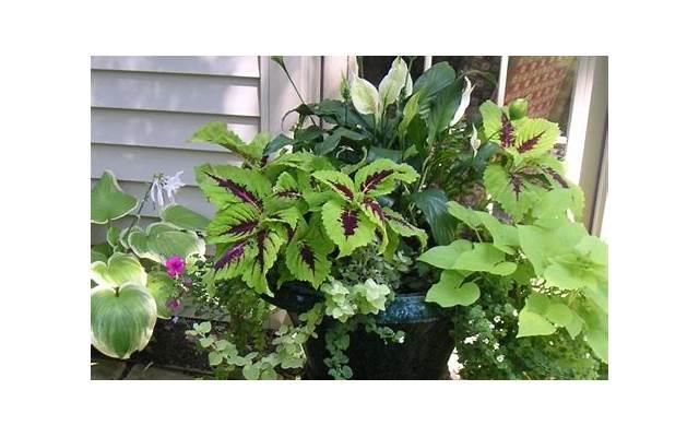 如果恋人频繁出现这几种表现，很大概率对方心中有别人