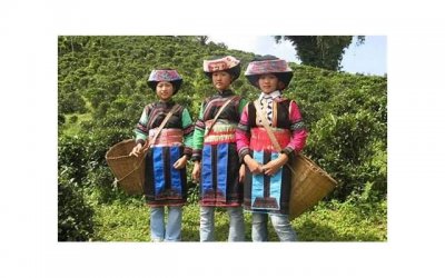 ​金牛座的家庭观念及家庭生活建议