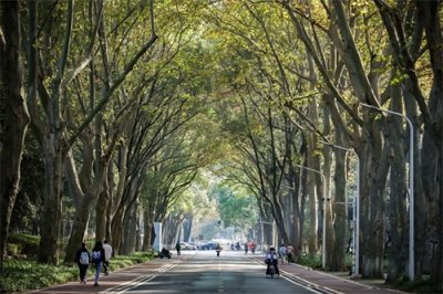 ​华师一附中初中部：培养新时代优秀青少年