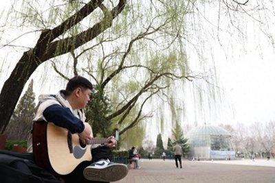 ​绿城广场，市民踏春赏景