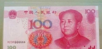 ​100元人民币值多少钱(豹子和大象)