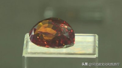 ​这么近 那么美 周末到河北丨河北地质大学地球科学博物馆：踏入时空隧道 探索地