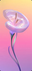 ​8K壁纸：壁纸分享交流，彩色壁纸|抽象艺术