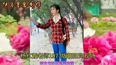 ​杨红霞:豫剧朝阳沟中银环扮演的佼佼者，仅次于魏云