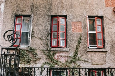 ​蚰蜒真的会钻人耳朵吗？我亲身经历了一次，让人毛骨悚然！