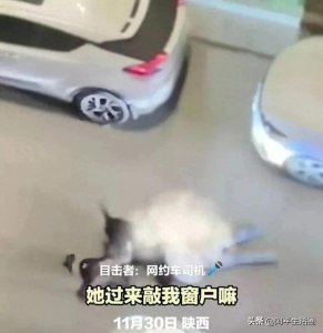 ​陕西女孩凌晨遭两大型恶狗撕咬，司机鸣笛驱赶后又追咬环卫工！