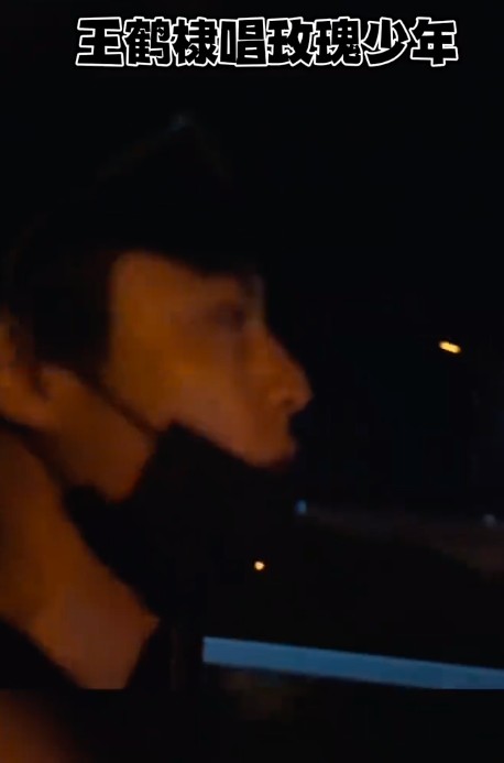 王鹤棣唱玫瑰少年