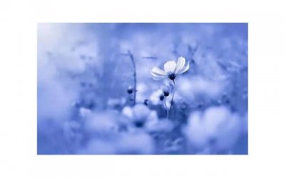 ​女性穿情趣开裆裤有什么妙用 女性穿情趣开裆裤有哪些好处