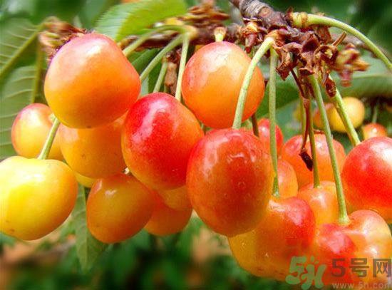 人流后可以吃樱桃吗？流产后可以吃樱桃吗 ?