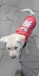 ​女人嫌男人烦的心理(男人对女人厌烦了是什么表现)