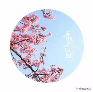 ​给照片加文字，我推荐这几款实用的APP