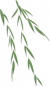 ​【安全教育】 云端家校，“护苗”健康成长。