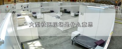 ​大型社死现场是什么意思，大型社死的含义