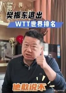 ​乒名宿怒斥WTT逼退樊振东，只知道商业化，牵扯出小山智丽事件