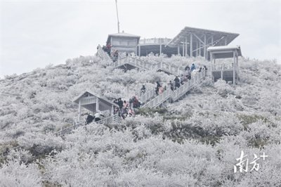​广东“下雪”啦！清远连州的雾凇景观好震撼