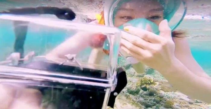 魏晨水下求婚成功！相恋10年，女友是川音同学