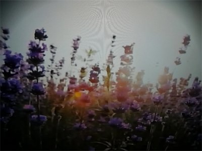 ​源远流长的民族文化