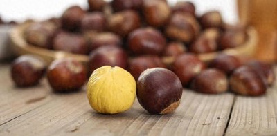 ​板栗直接水煮，难怪难剥皮，做好这2步，板栗皮自动脱落，不沾壳