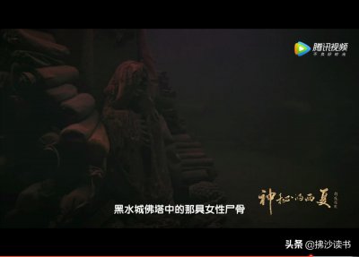 ​黑水城佛塔内的骸骨是西夏的罗太后？CCTV科教频道这次真的说错了