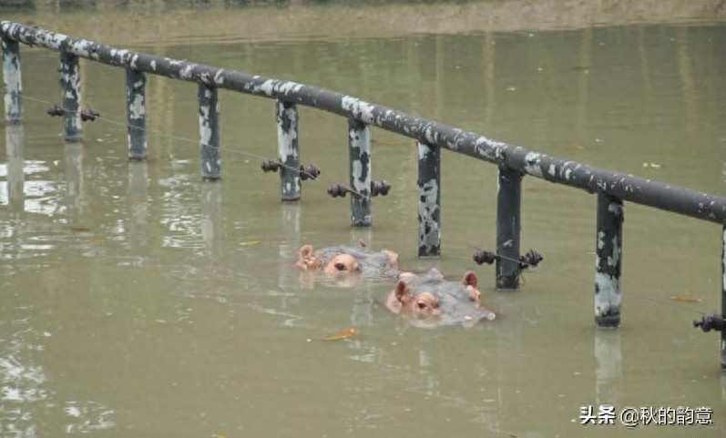 广州市长隆旅游度假区，占地面积 1万亩，门票价格 285-350元