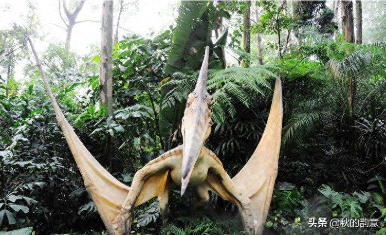 广州市长隆旅游度假区，占地面积 1万亩，门票价格 285-350元