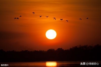 ​50、60、70、80年代的老照片，简单而珍贵，好怀念